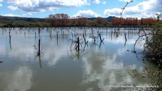 Lago Gurrida